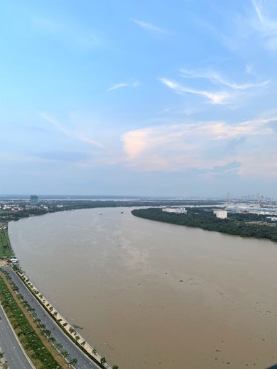 Apartment fof rent D2101225 (1)